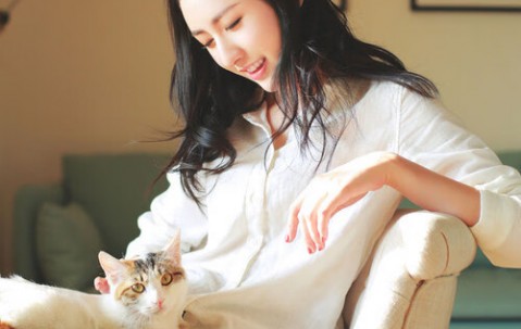 试管婴儿技术，包成功承诺与费用解析