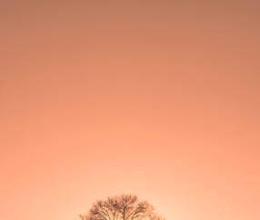 乐山试管婴儿费用，全面解析与指导