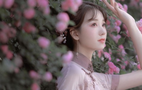 杭州试管婴儿费用解析，全面了解试管婴儿成本